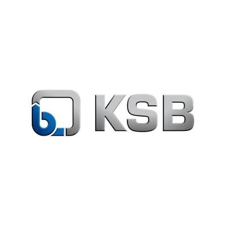 K.S.B Pumps Ltd